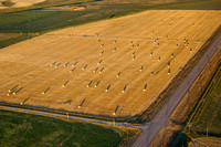 Agriculture near Choteau, Montana