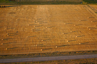 Agriculture near Choteau, Montana