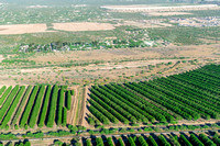 20240425_Agriculture_Tucson_AZ_04