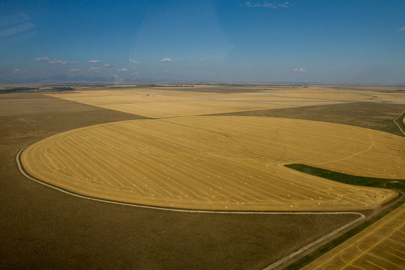 Agricultural Crop Circle, Choteau, Montana