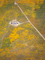 Aspen_Trees_Fall_Beauty_Colorado_EcoFlight11