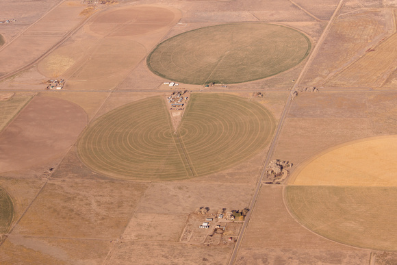 Alamosa, CO - crop circles