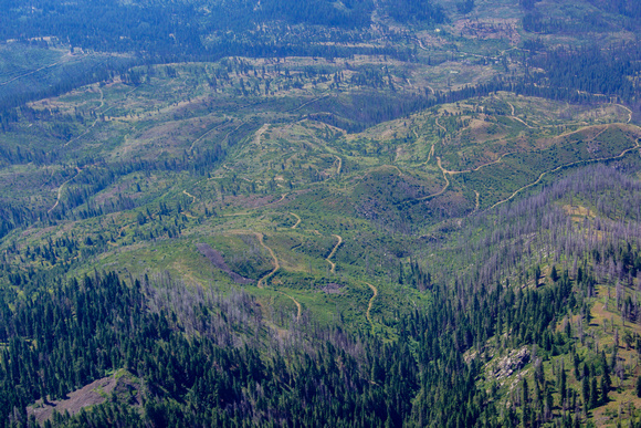 Idaho - Salvage Logging within Sheep Fire region near Riggins