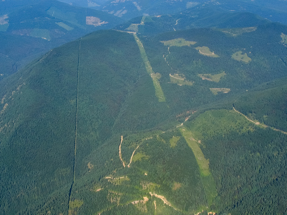 Clearcut area on the Canada and US border (1 of 1)