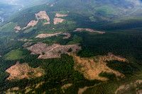 Logging near Yaak MT-2