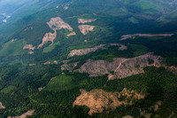 Logging near Yaak MT