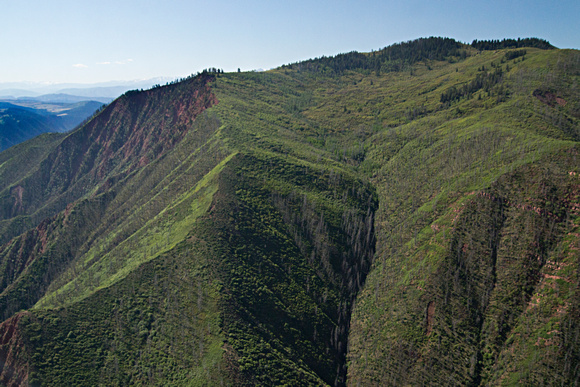 Forest growth 10 years after Coal Seam Fire, Glenwood Springs, CO