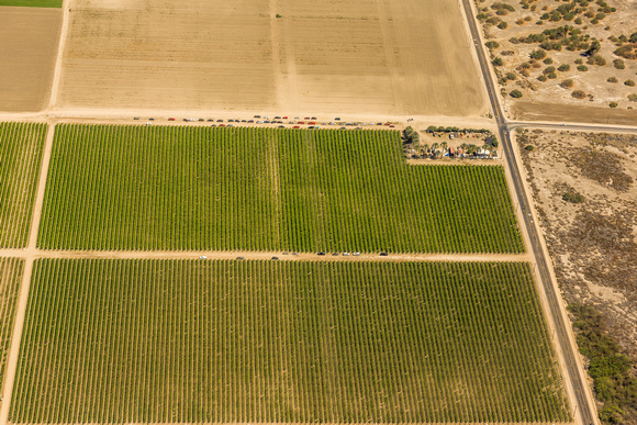 Coachella Valley Agriculture-2