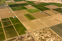 Coachella Valley Agriculture