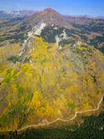 Aspen_Trees_Fall_Beauty_Colorado_EcoFlight15