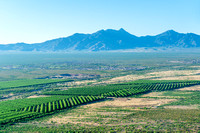 20240425_Agriculture_Tucson_AZ_03