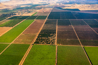 Agriculture near Reedly CA San Joaquin Valley