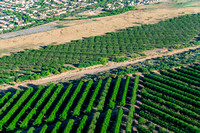 20240425_Agriculture_Tucson_AZ_05