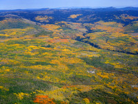 Aspen_Trees_Fall_Beauty_Colorado_EcoFlight08
