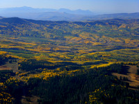 Aspen_Trees_Fall_Beauty_Colorado_EcoFlight02