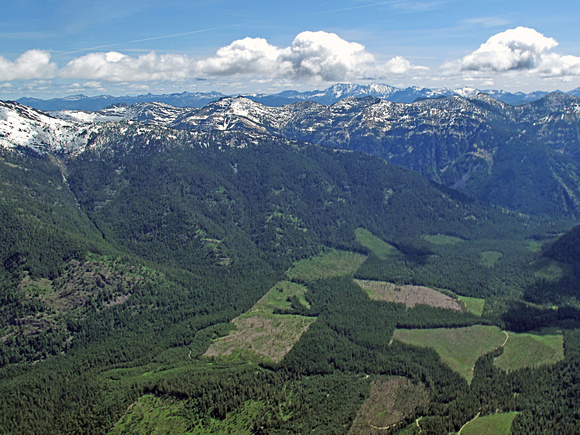Clear Cuts and Scotchman Peaks