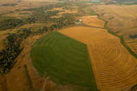 Agricultural Crop Circle near Choteau, Montana