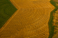 Agricultural Crop Circle near Choteau, Montana