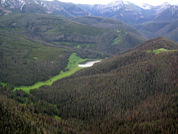 Wilderness_Proposed_Pinebeetle_Montana_Gallatin Crest_EcoFlight_04
