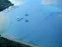 Belize 3.2009 241