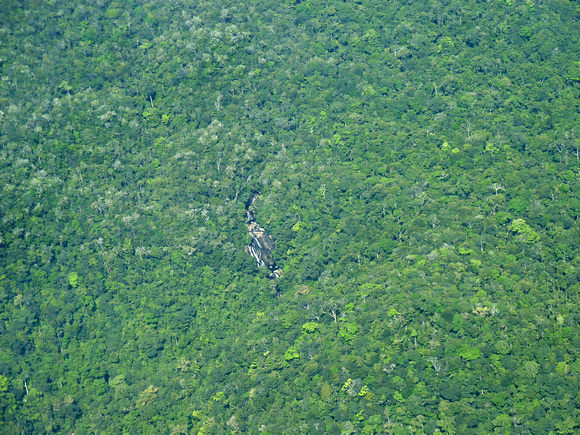 Pristine Forest, Northwest Belize
