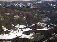 Climate_Change_Pinebeetles_Colorado_Steamboat_Routt_Forest02