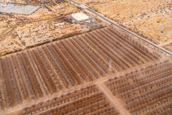 20250210_Agriculture_Near_Sahuarita_Arizona_02