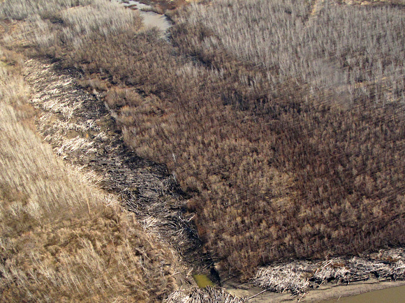 3_11_2011_Missouri_River_Relief_EcoFlight14