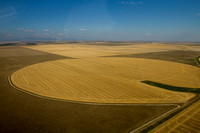 Agricultural Crop Circle, Choteau, Montana