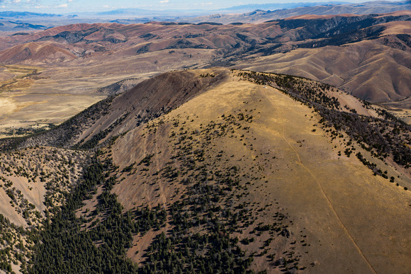 Ellis Peak in the Tendoy Mountains, location of disease - imperaled Bighorn Sheep (8 of 35)