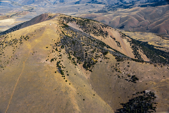 Ellis Peak in the Tendoy Mountains, location of disease - imperaled Bighorn Sheep (11 of 35)