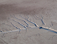 Colorado River Delta Running Dry