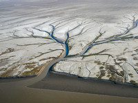 Colorado River Delta 2009