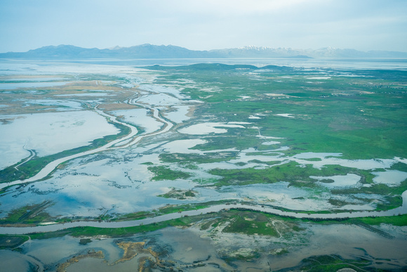 Ogden_Bay_Waterfowl_Management_Area