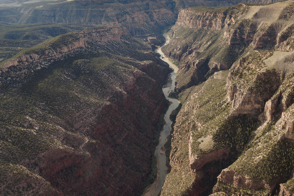 Green River in Dinosaur National Monument (1 of 1)-9