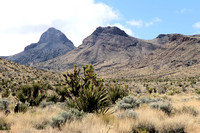 Castle Mountains - Nevada Side   (10)