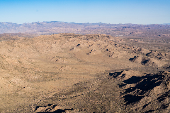 Joshua Tree