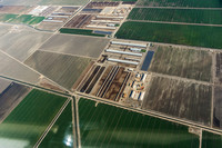 Feed lots in California's Central Valley