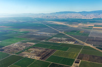 Central Valley California Agriculture-16