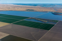 Central Valley California Agriculture