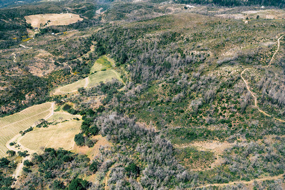 Hills West of Sonoma_