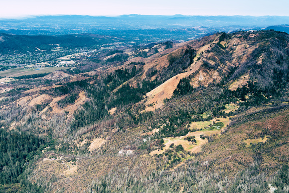 Napa Hills