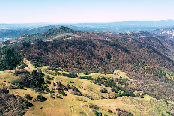 Near Lokoya Vineyards