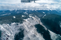 20250516_Hunter_Fryingpan_Forest_01