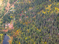 Forest Restoration Cascade ID-16