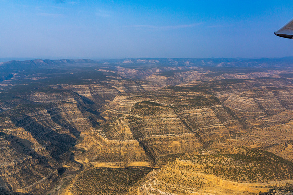 Carcass Canyon Wilderness Study Area Grand Staircase Escalante NM