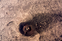 Amboy Crater-7