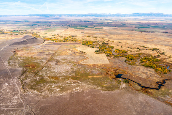 Conejos River & Saddleback Mtn