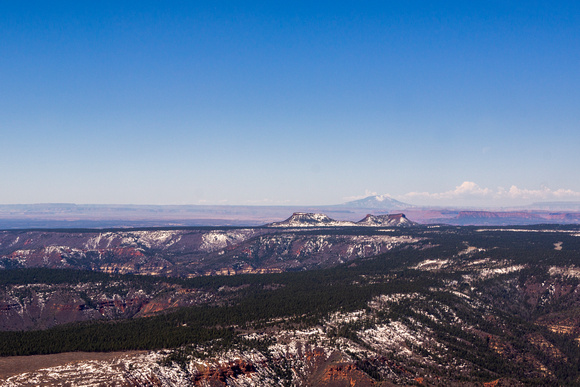 Bears Ears Buttes with Navajo Mountain in the distance