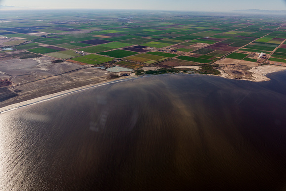 Imperial Valey Shore of Salton Sea-2